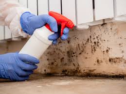 Best Airborne Mold Testing in USA